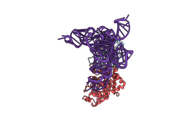 8ZMK image