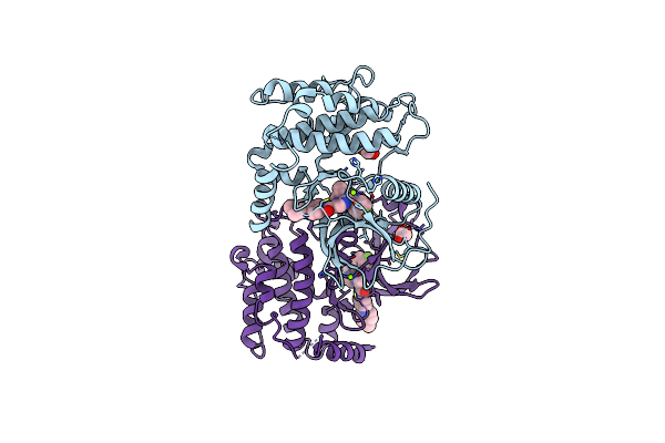 8ZML image