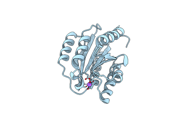 8ZMN image
