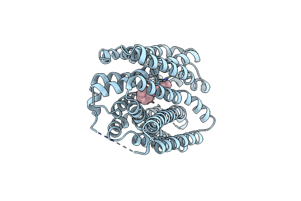 8ZMR image