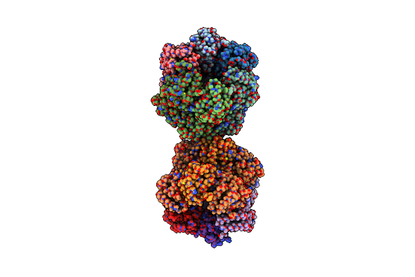 8ZN5 image