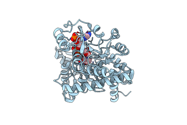 8ZNB image