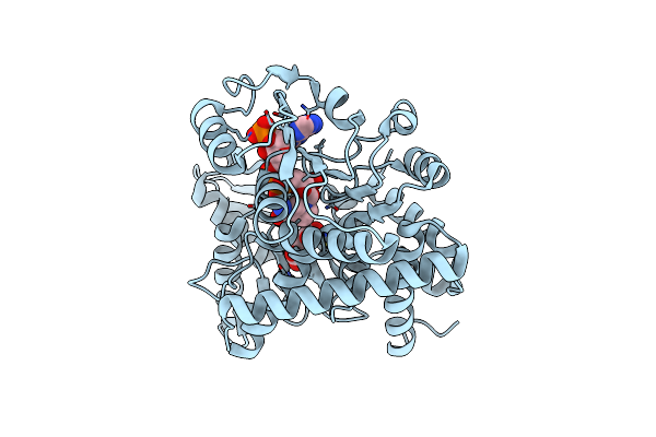 8ZNC image