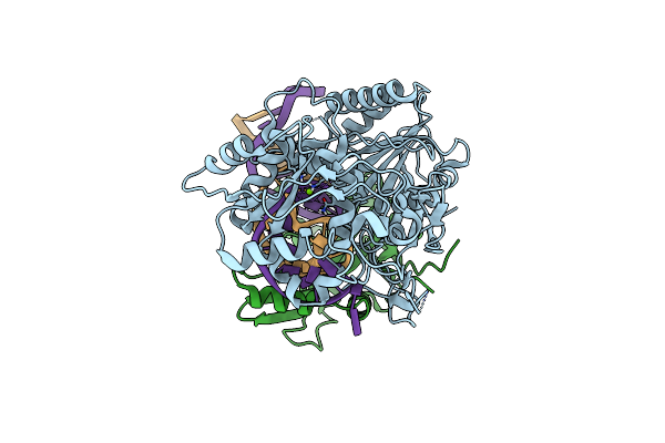 8ZNJ image