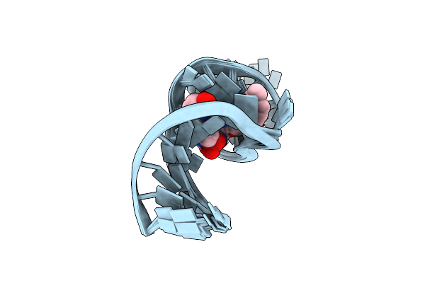 8ZNQ image