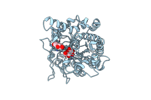 8ZNW image
