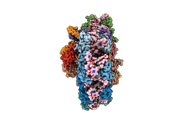 8ZOA image