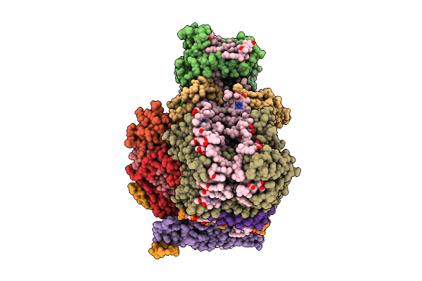 8ZOB image