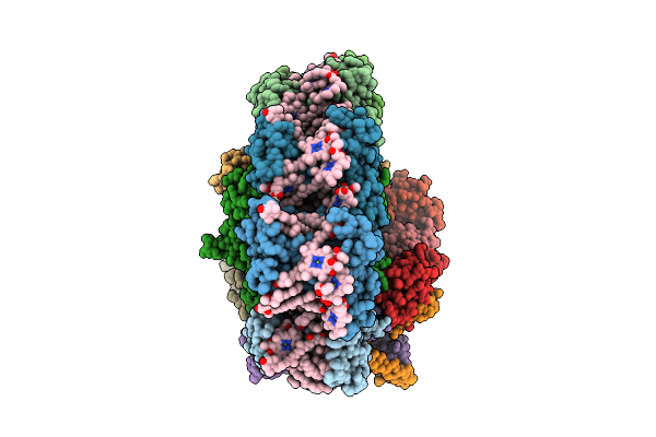 8ZOI image