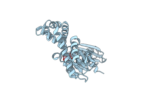 8ZOV image