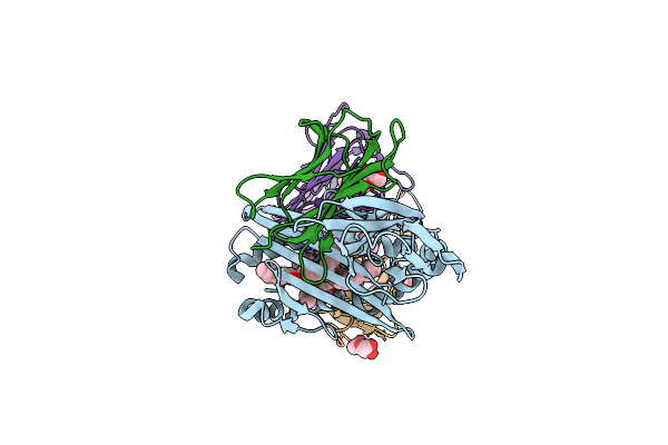 8ZOX image