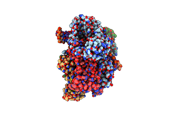 8ZP4 image