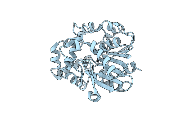 8ZP6 image