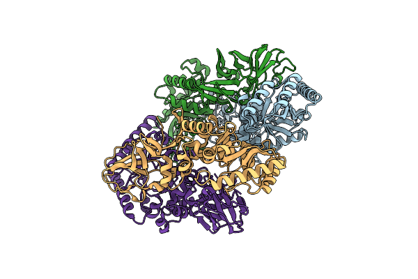 8ZPE image