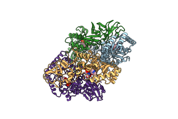 8ZPG image