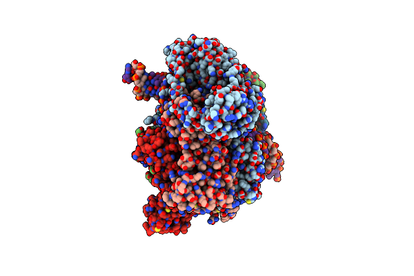 8ZPK image