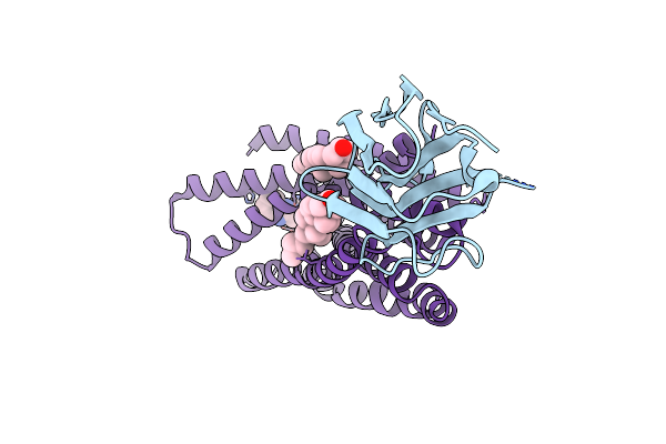 8ZPM image