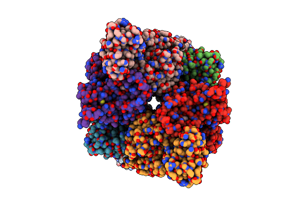 8ZPR image