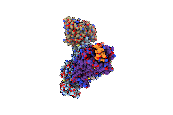 8ZPT image