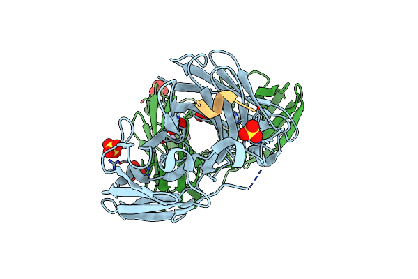 8ZPU image