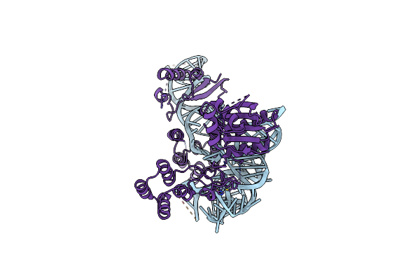 8ZQ9 image