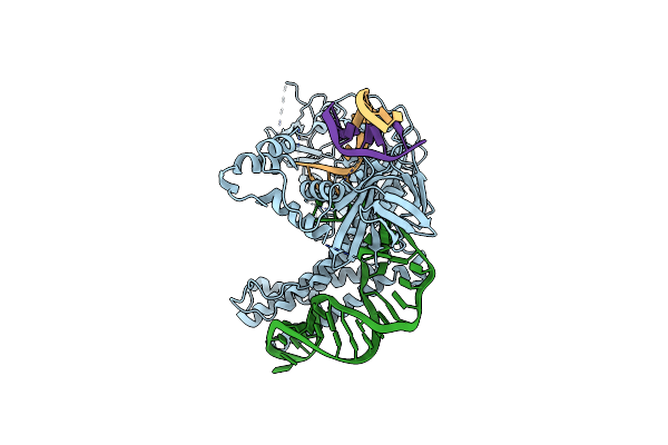 8ZQS image