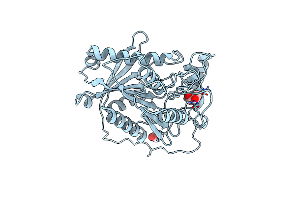 8ZRF image