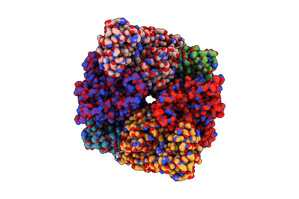 8ZRI image