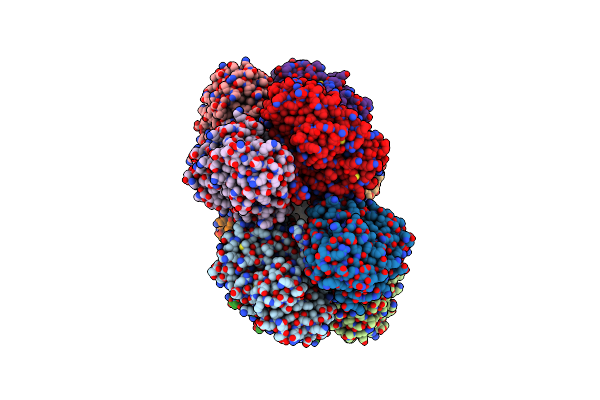 8ZRL image