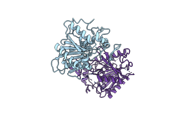 8ZRO image