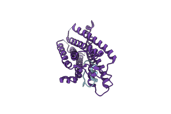 8ZRT image