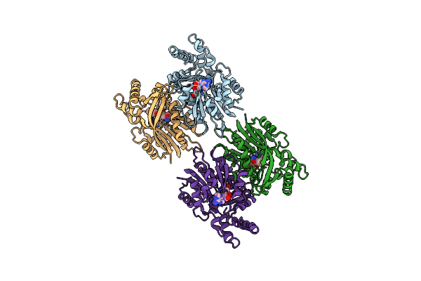 8ZSA image
