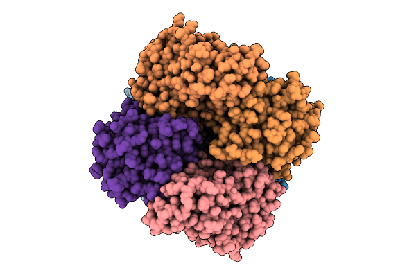 8ZSF image