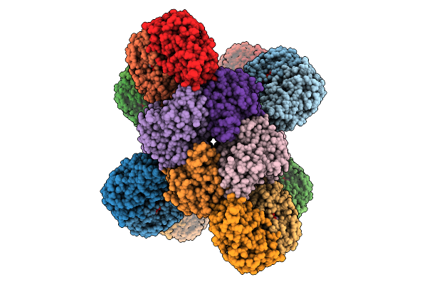 8ZSH image