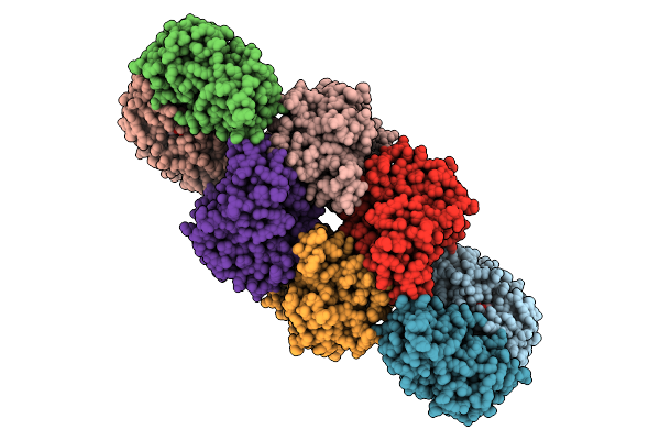 8ZSI image