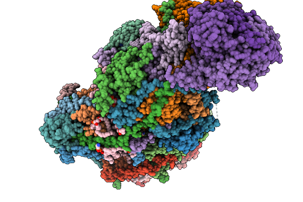 8ZSL image
