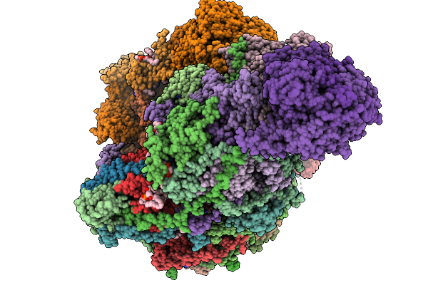 8ZSN image
