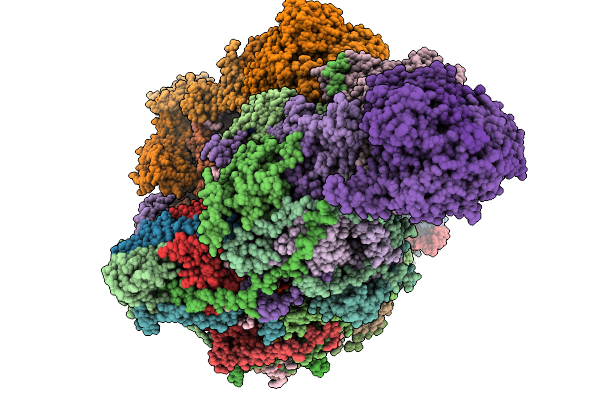 8ZSO image