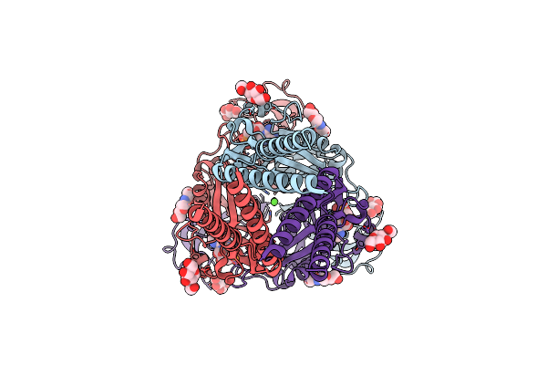 8ZT5 image