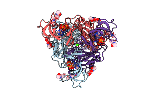 8ZT8 image