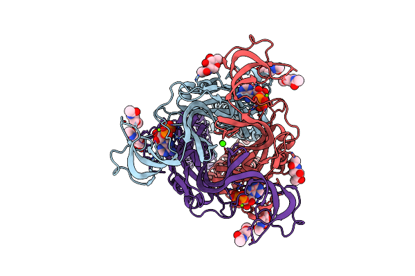 8ZTF image