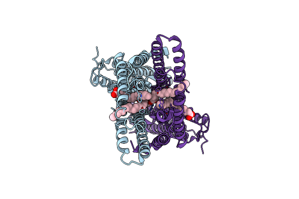 8ZTM image