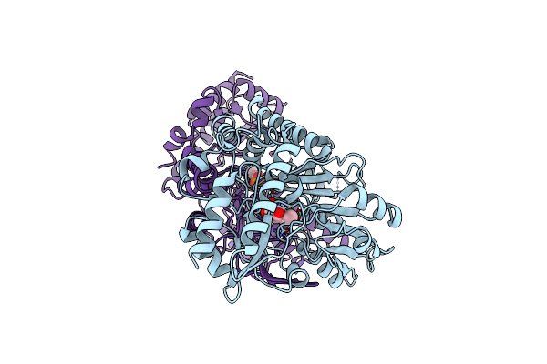 8ZTP image