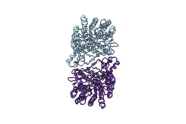 8ZTW image
