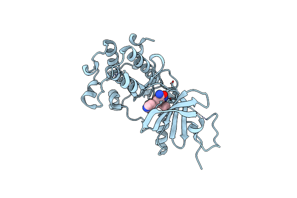 8ZTX image