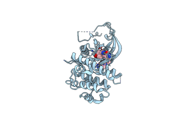 8ZUL image