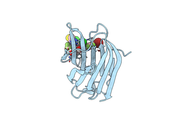 8ZUV image