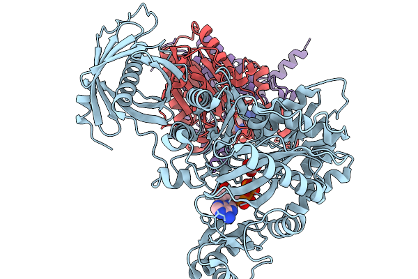 8ZUX image