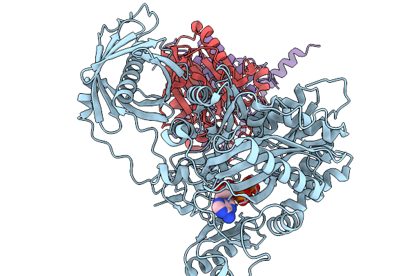 8ZV2 image