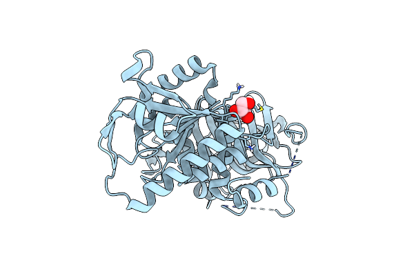 8ZVB image